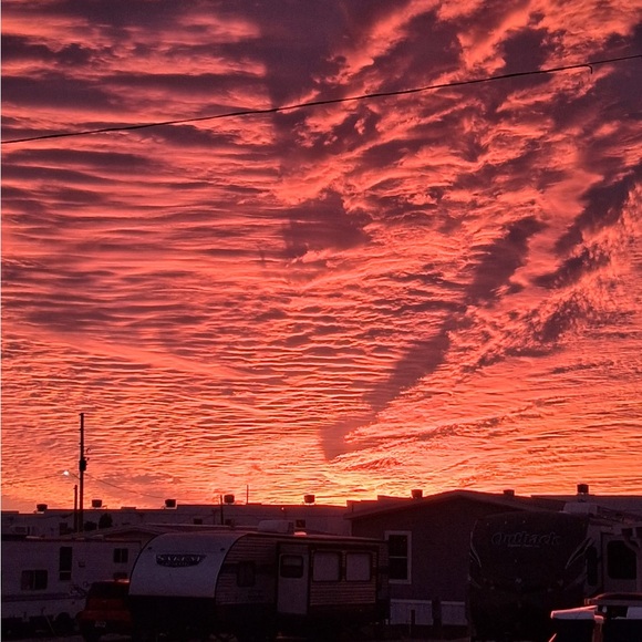 SHARE SHOW WITH GINGER - Picture 2 of 5